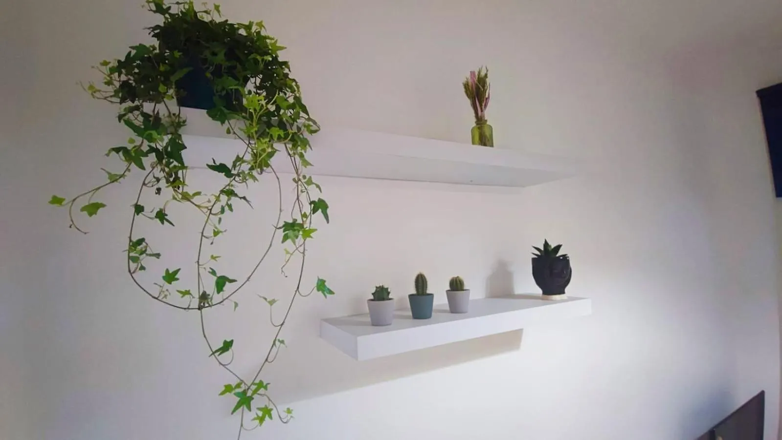 Nopaquie Apartment Catania